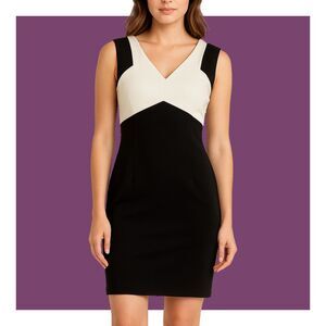 Calvin Klein Black & White Colorblock V-Neck Classic Fitted Sheath Dress NWT